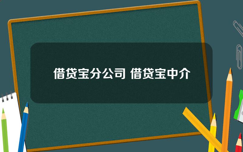 借贷宝分公司 借贷宝中介